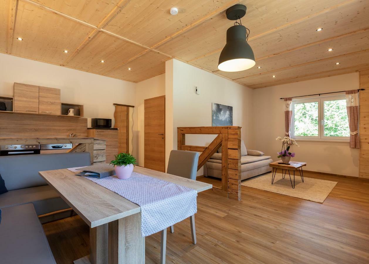 Schladminger Tauern Apartment